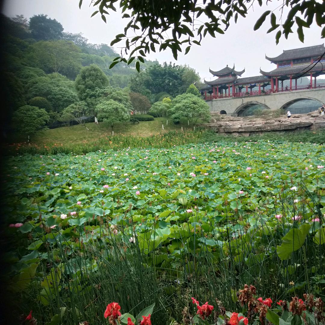 苦中作乐，哥哥