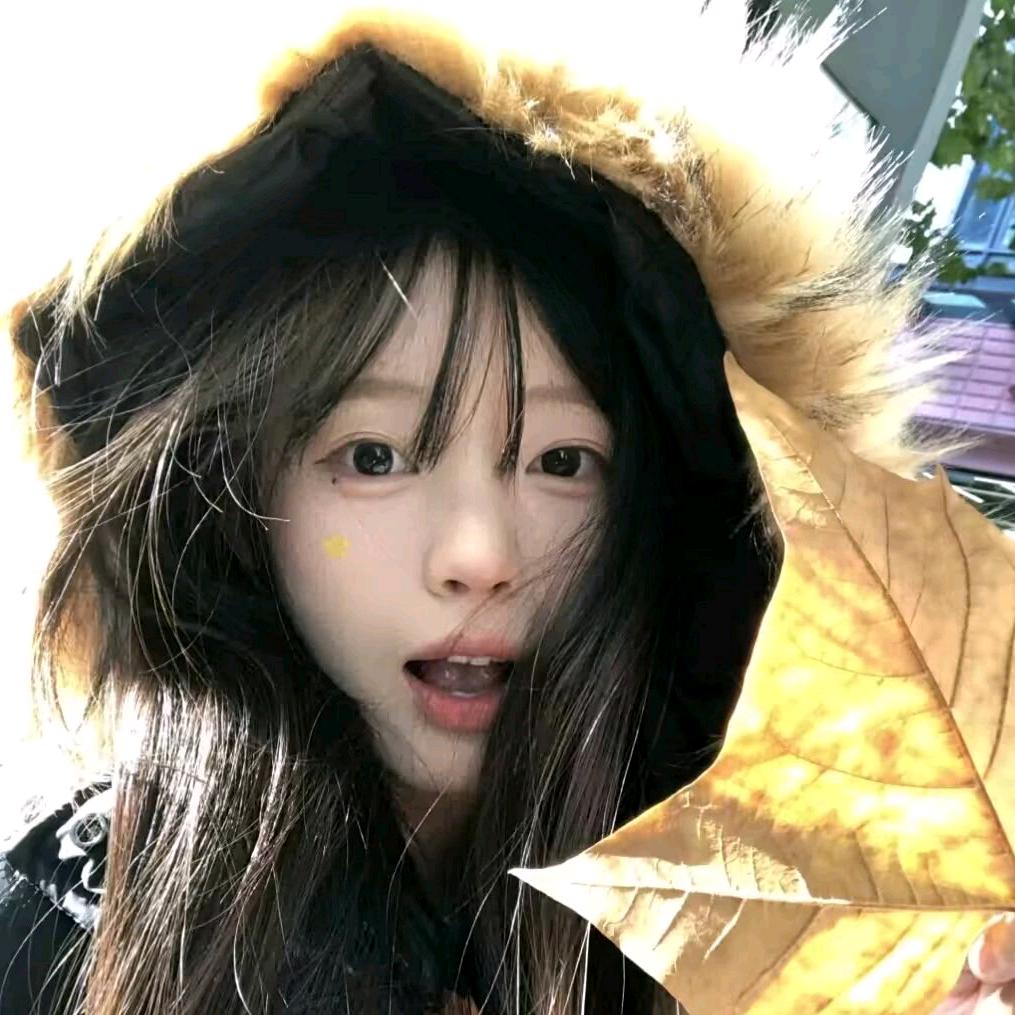 兔子饼干🍪