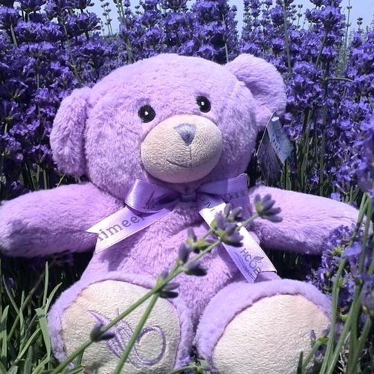 ༒盛夏ཨོཾ阑珊༃