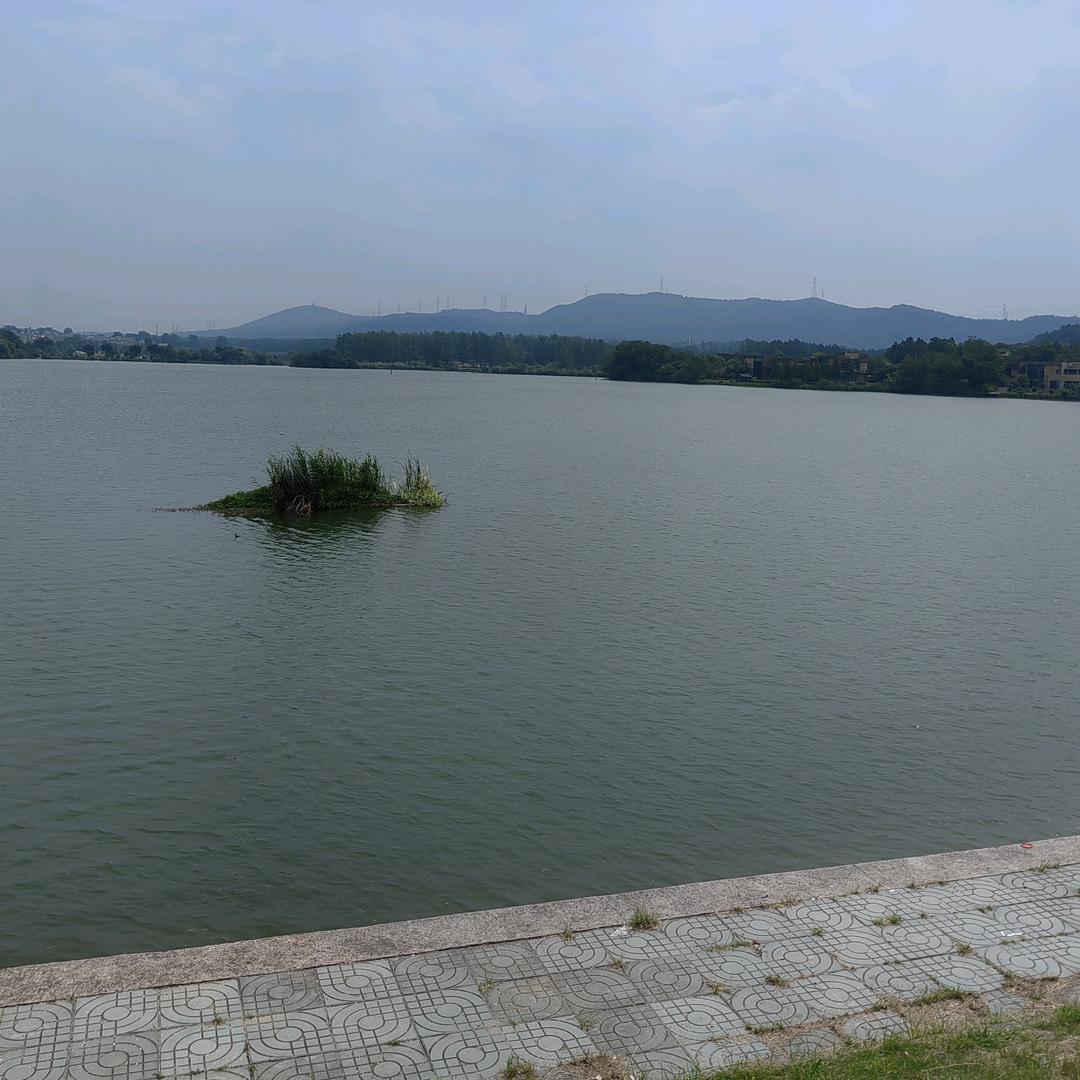 😯😯😯😯😯😯😯😯