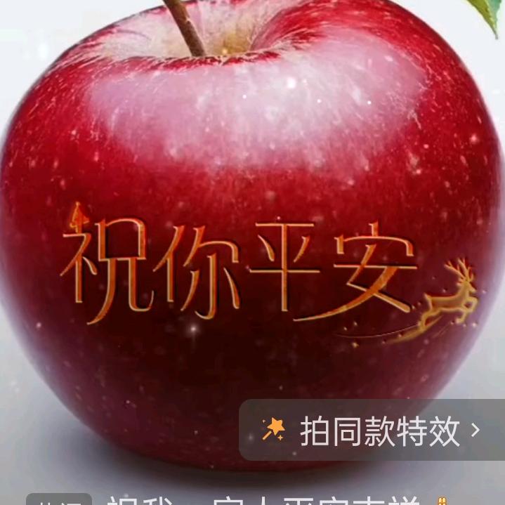 一生的陪伴