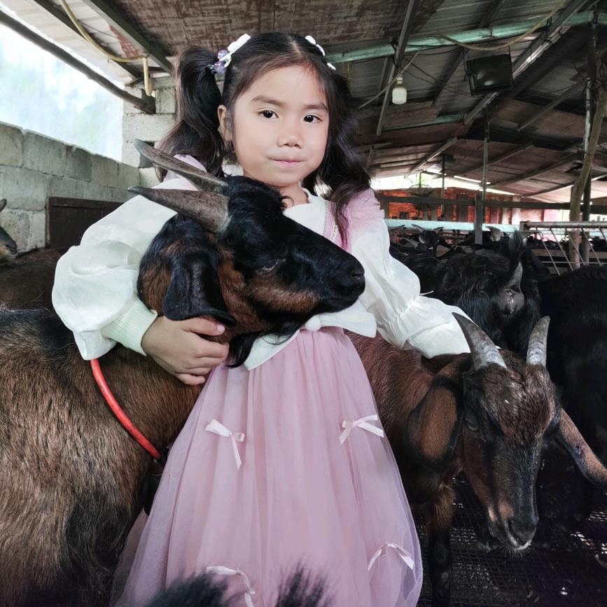 菁艺(山羊养殖)