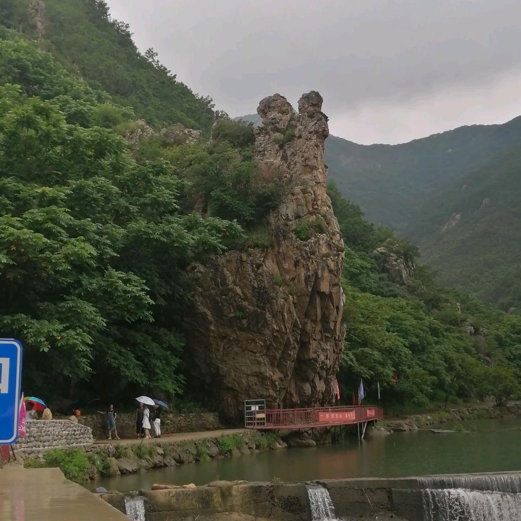 认清现实
