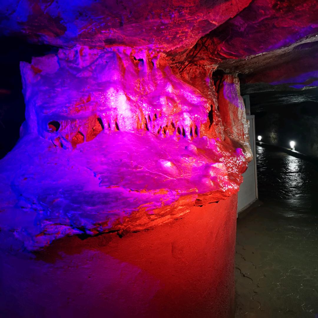 心花怒放的生命