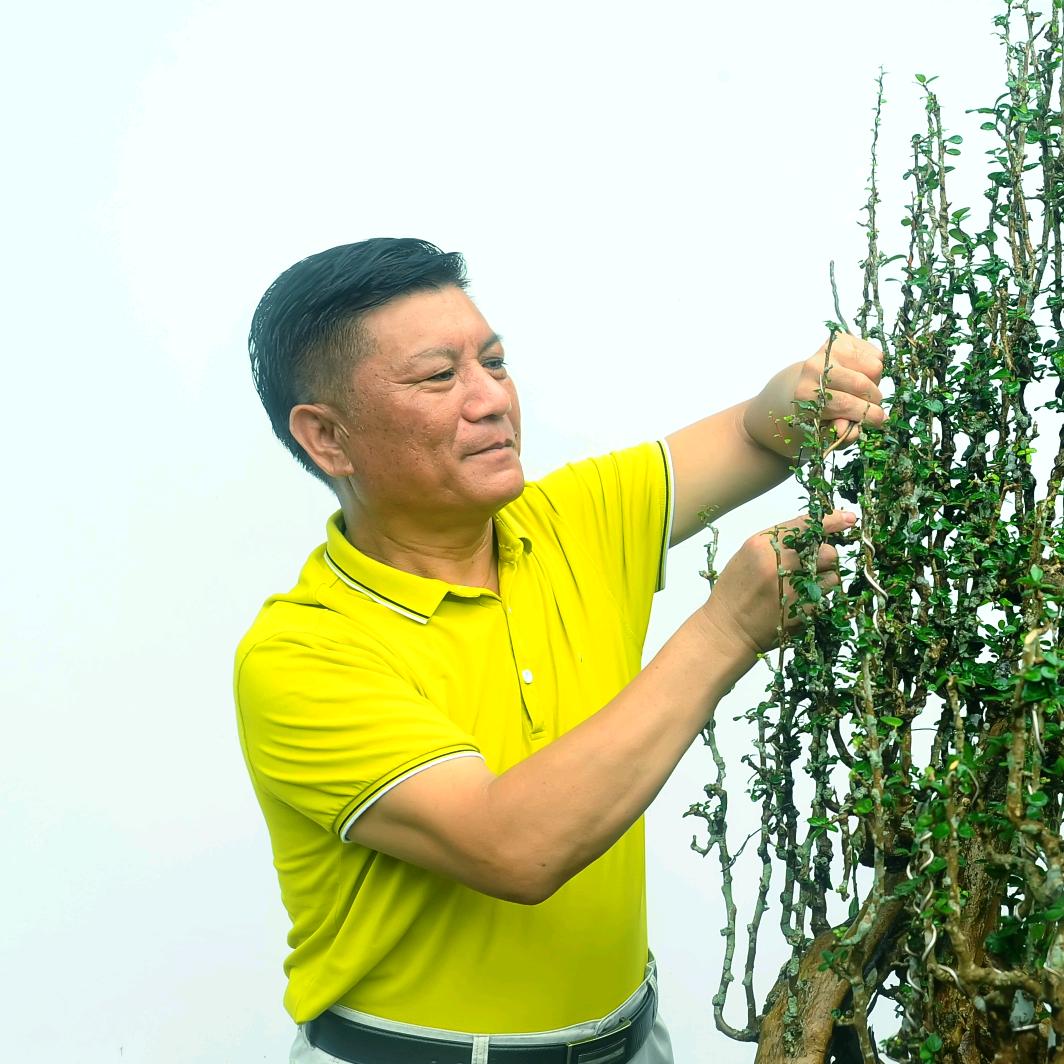 海口锦园刘传刚