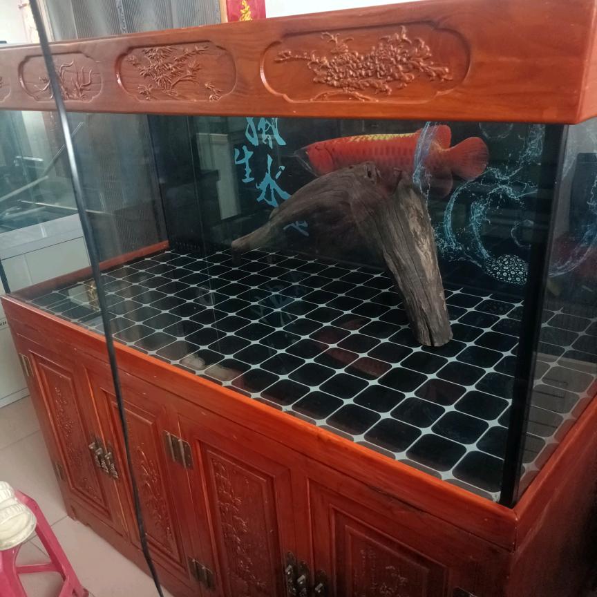 鹏哥二手鱼缸