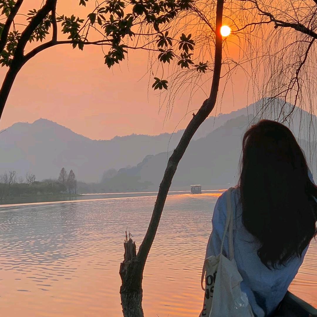泡芙🫧