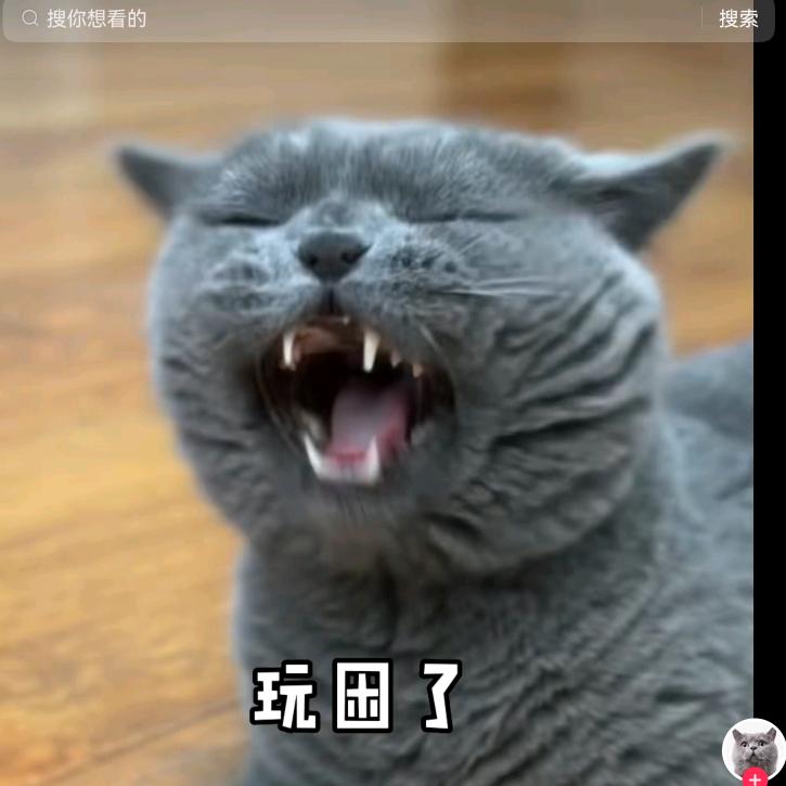 扯犊子
