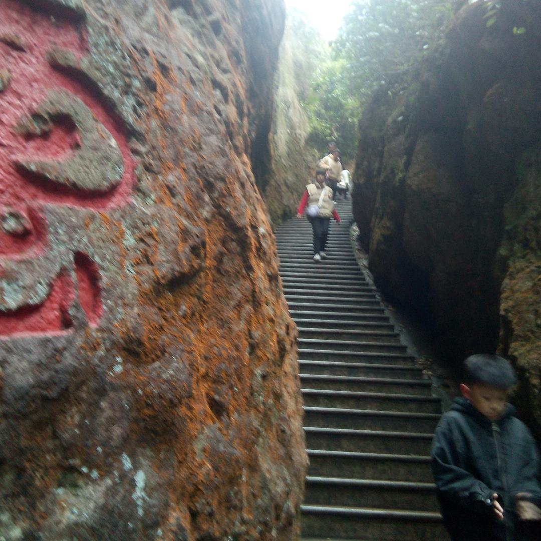 yCx诚信是福