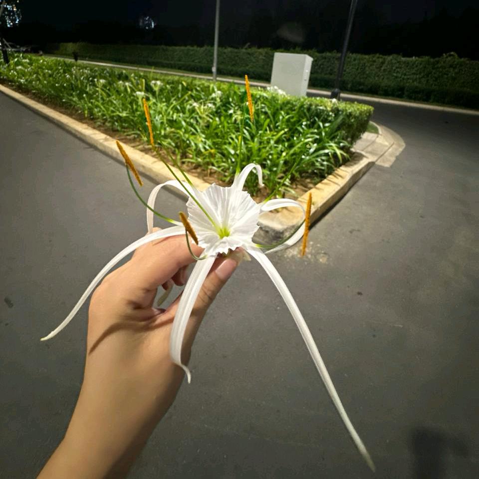 戒心