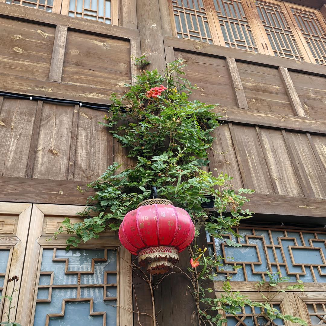 顺风吹帆