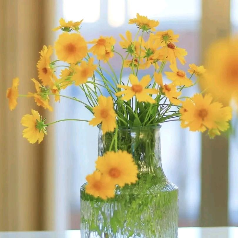 🌼爱财᭄爱己꧔ꦿᩚ