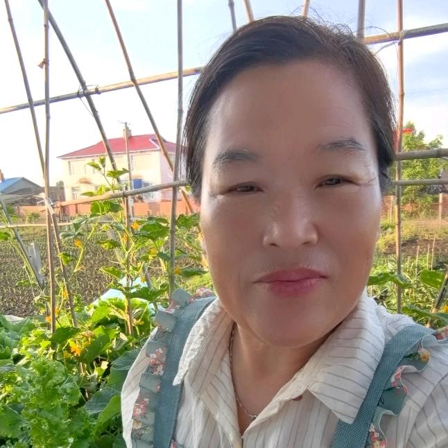 萍姐在东北