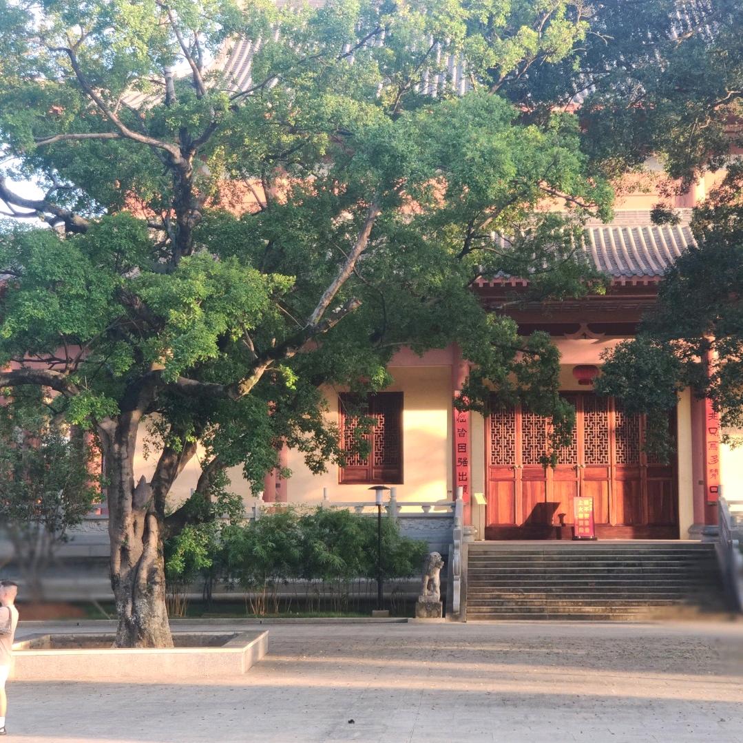 灯火阑珊