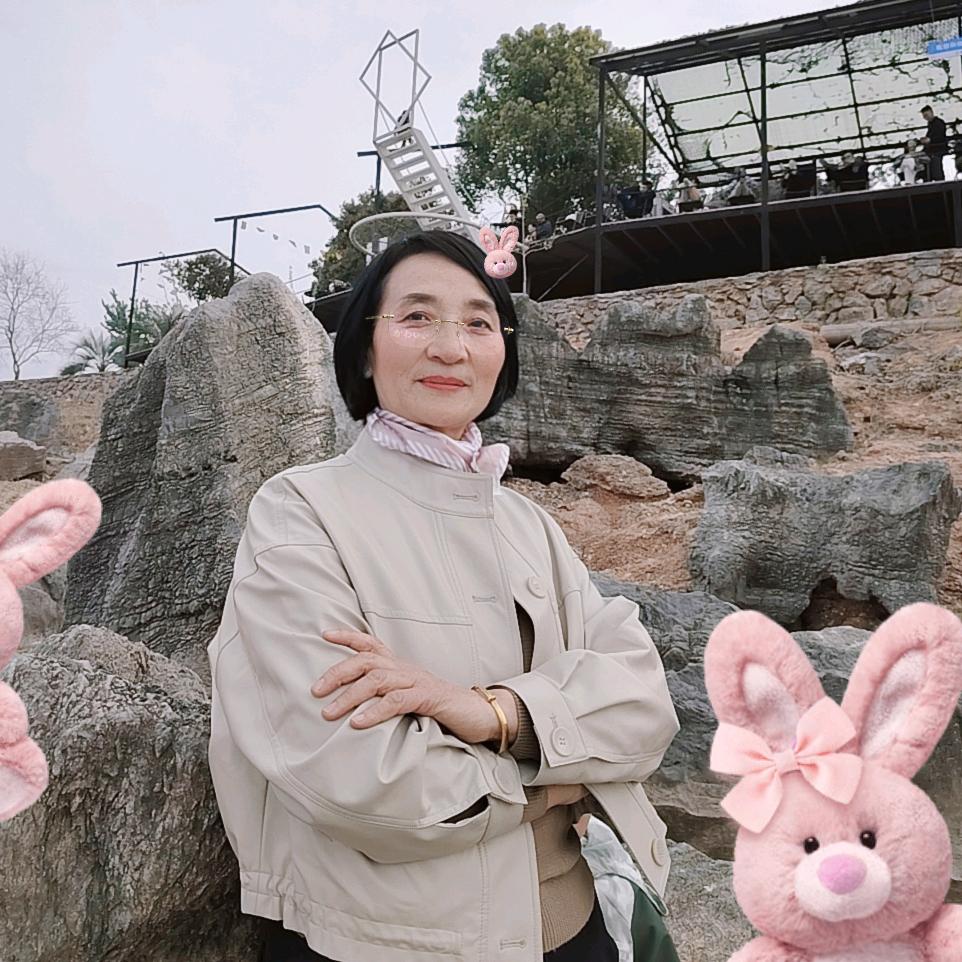 襄阳团山智慧树二十七中（住宿，全托，补习