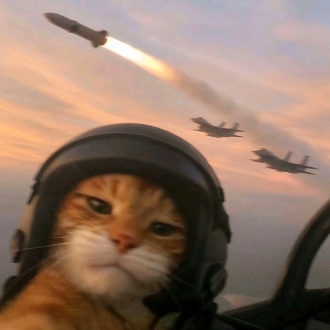 森林里的古徳堡