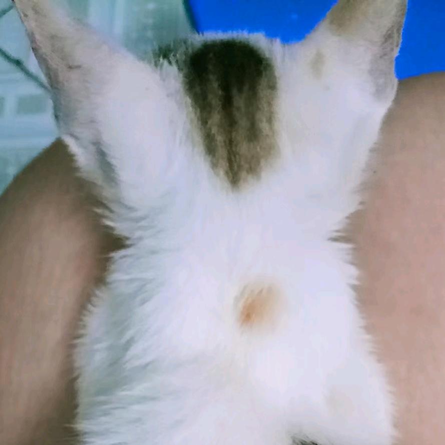 哇哈哈哈哈哈哈哈