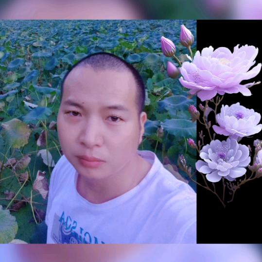 🌹相🍒思🌹雨