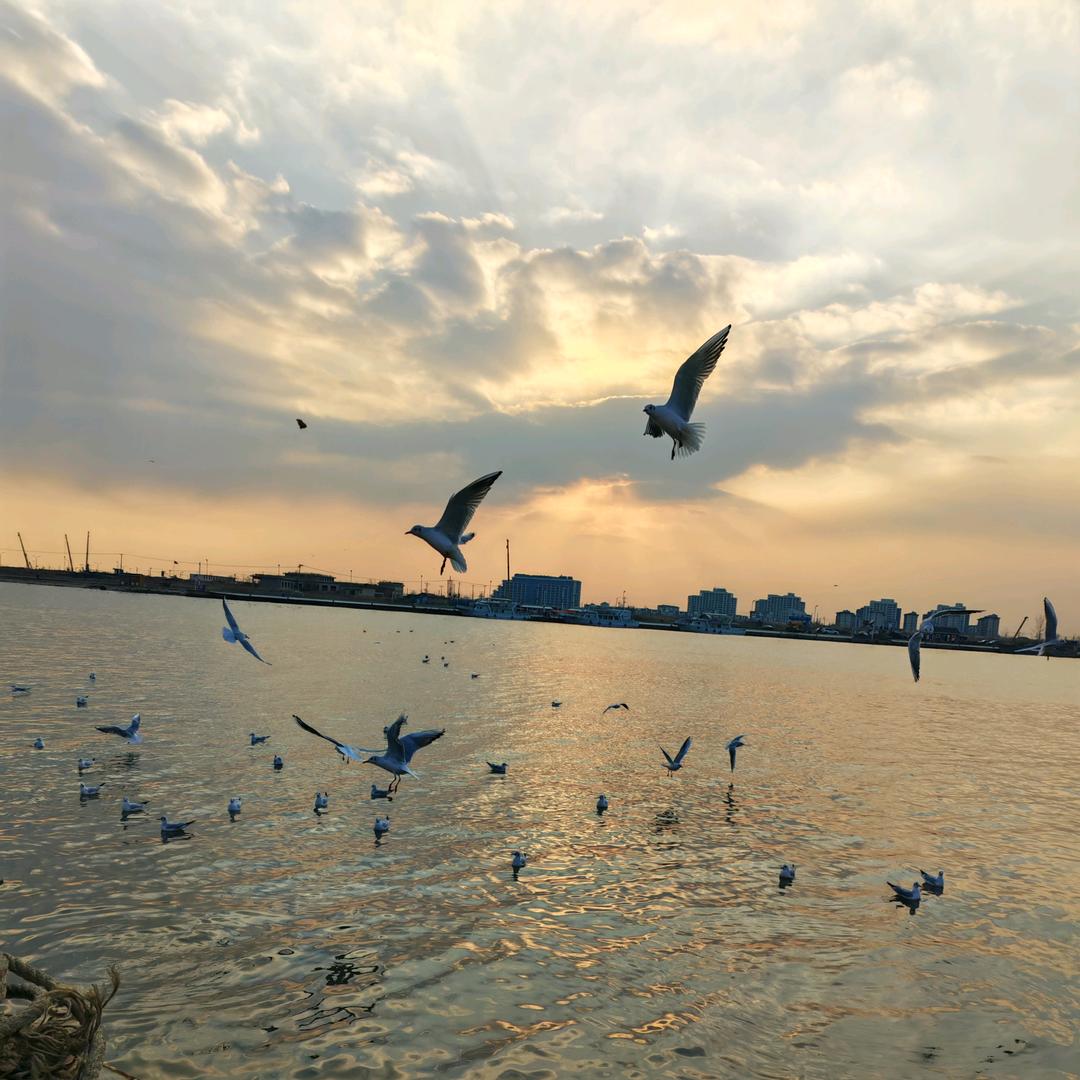 无所谓🤷‍♀️