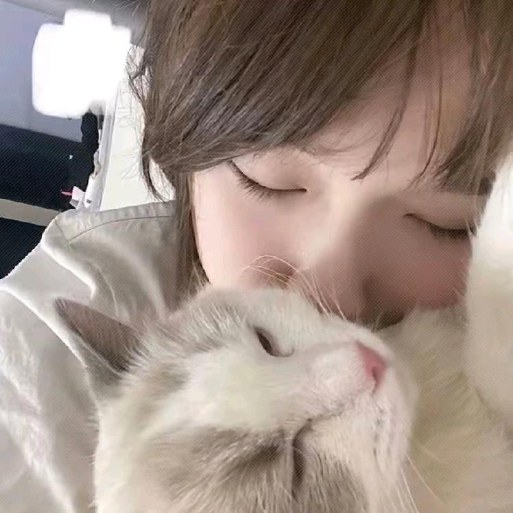 🐟.头像