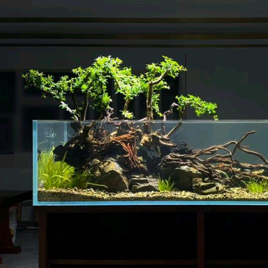 养鱼，养花，养……