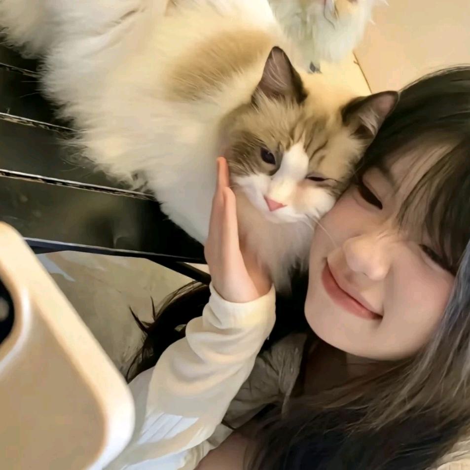 与汀书