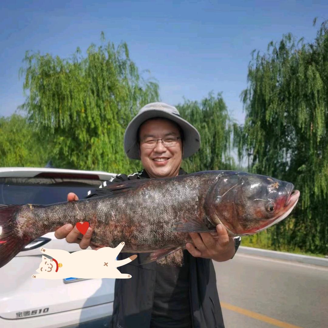 🎣强哥爱钓鱼🎣
