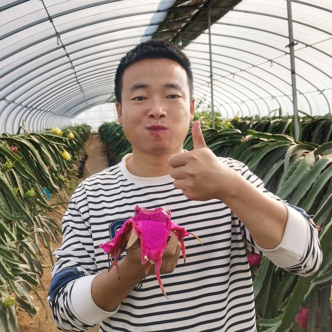 南果北源火龙果种植农场