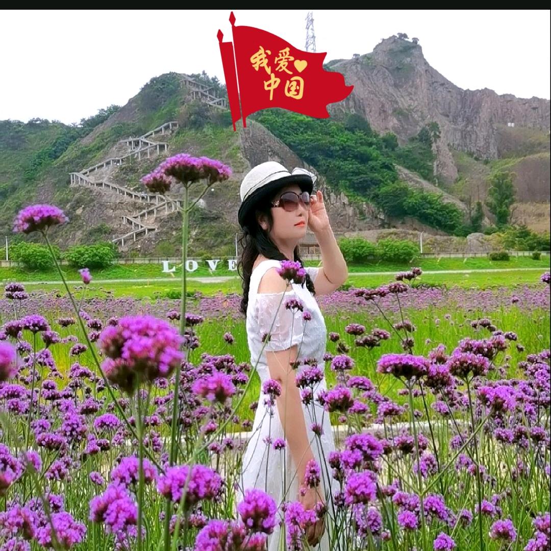 文丽姐