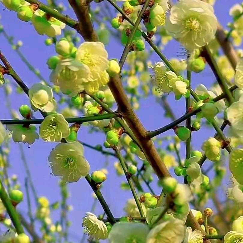 金榜题名