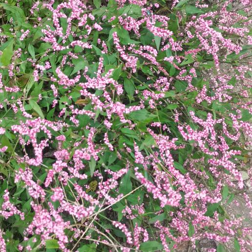 在流泪中学会坚强