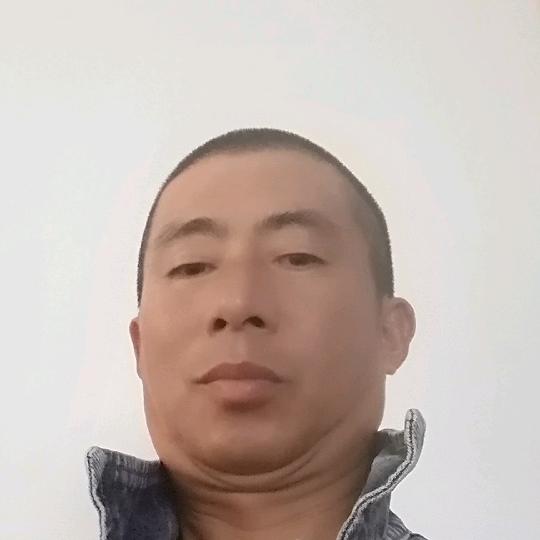 板哥