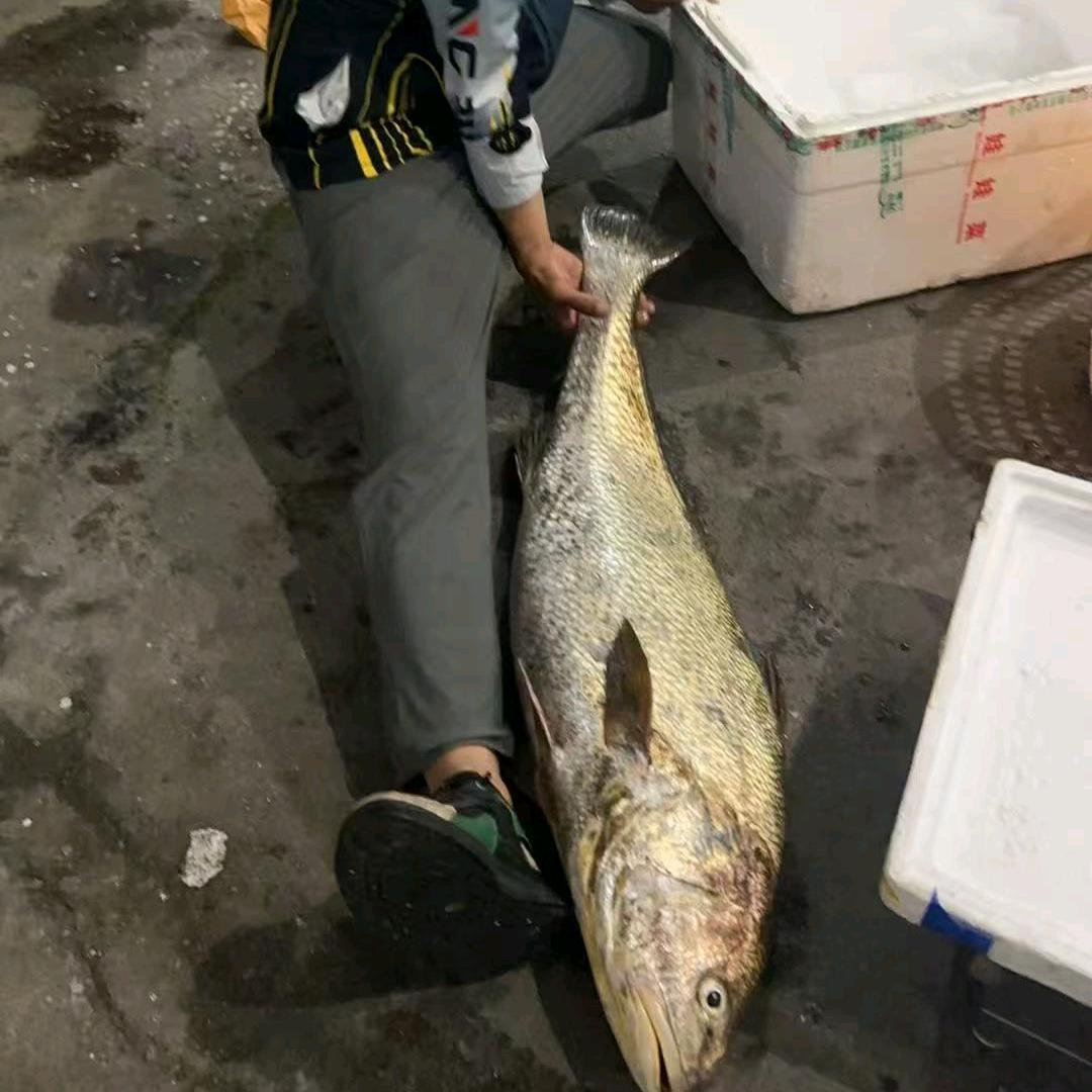 渔你同行（诏安海钓）