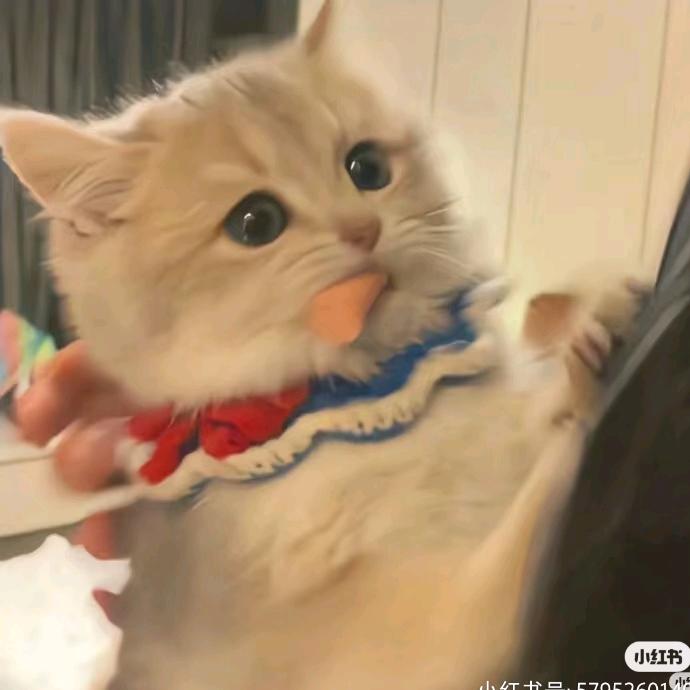 明辰辰