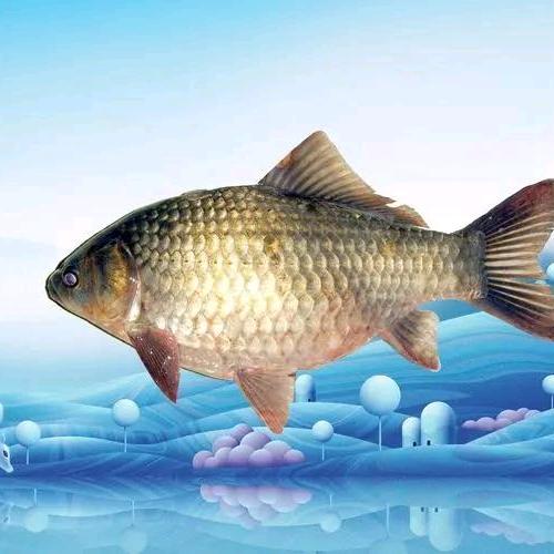 柯莱尔生物科技有限公司