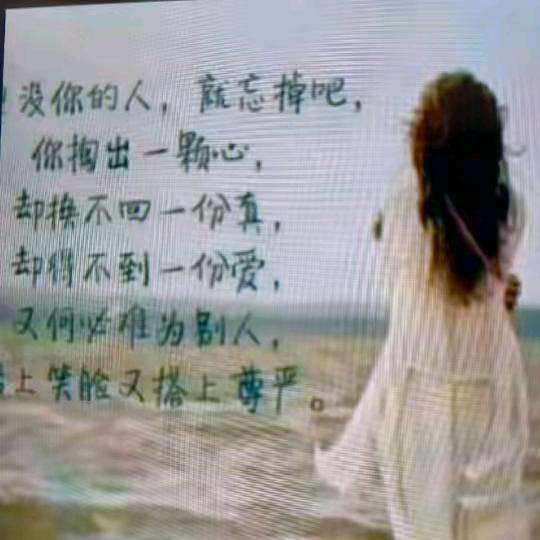 输了你赢了世界又如何