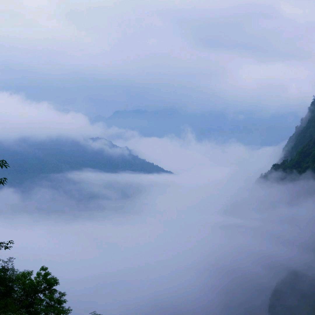 同云烟
