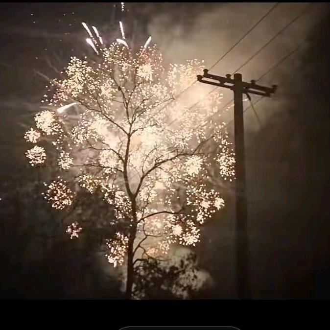 犹豫中的孩子👻