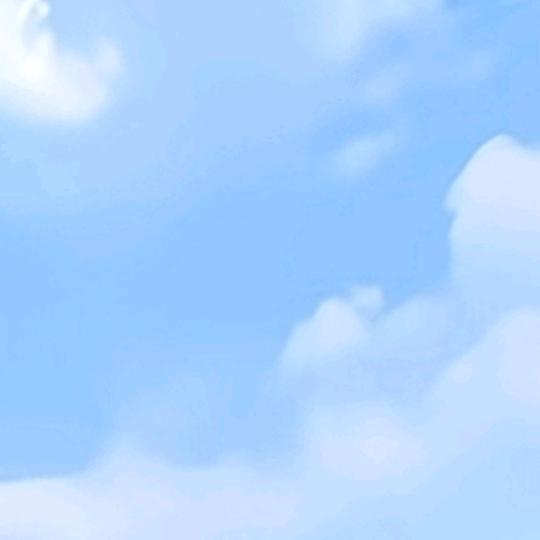 真爱哥