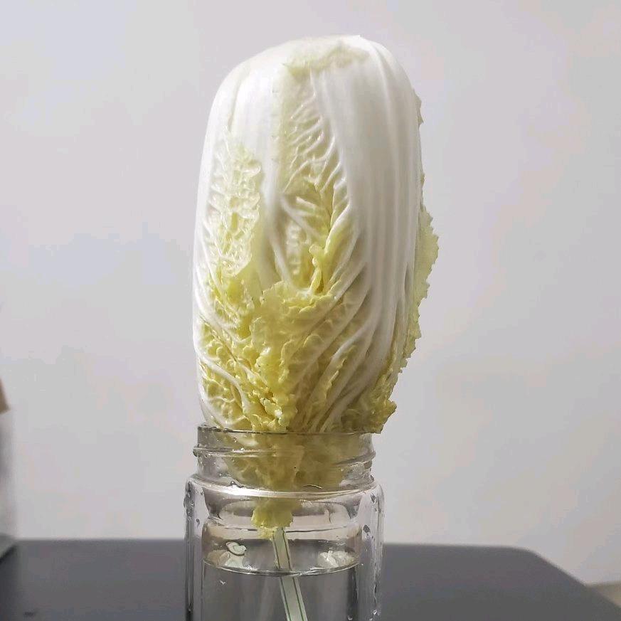 ᶜ