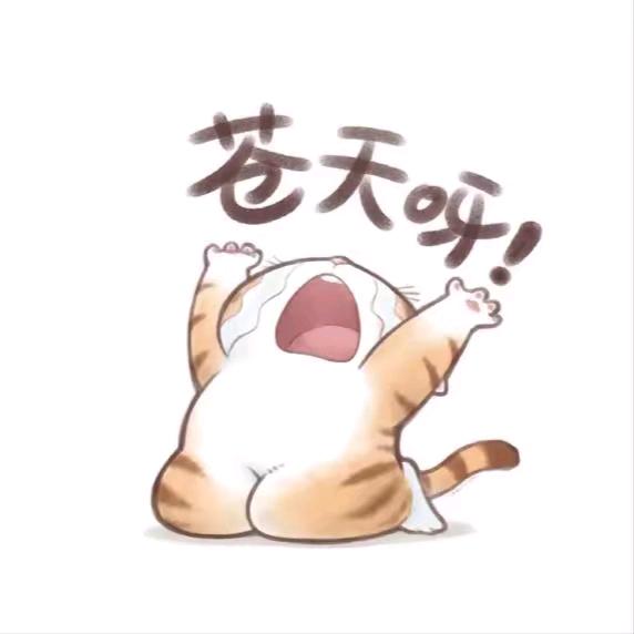 伊伊小乖乖（国七月）