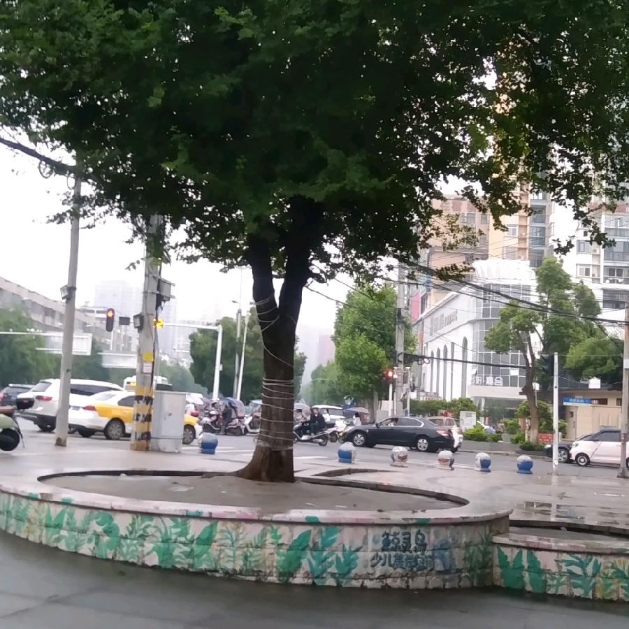 吴四姐