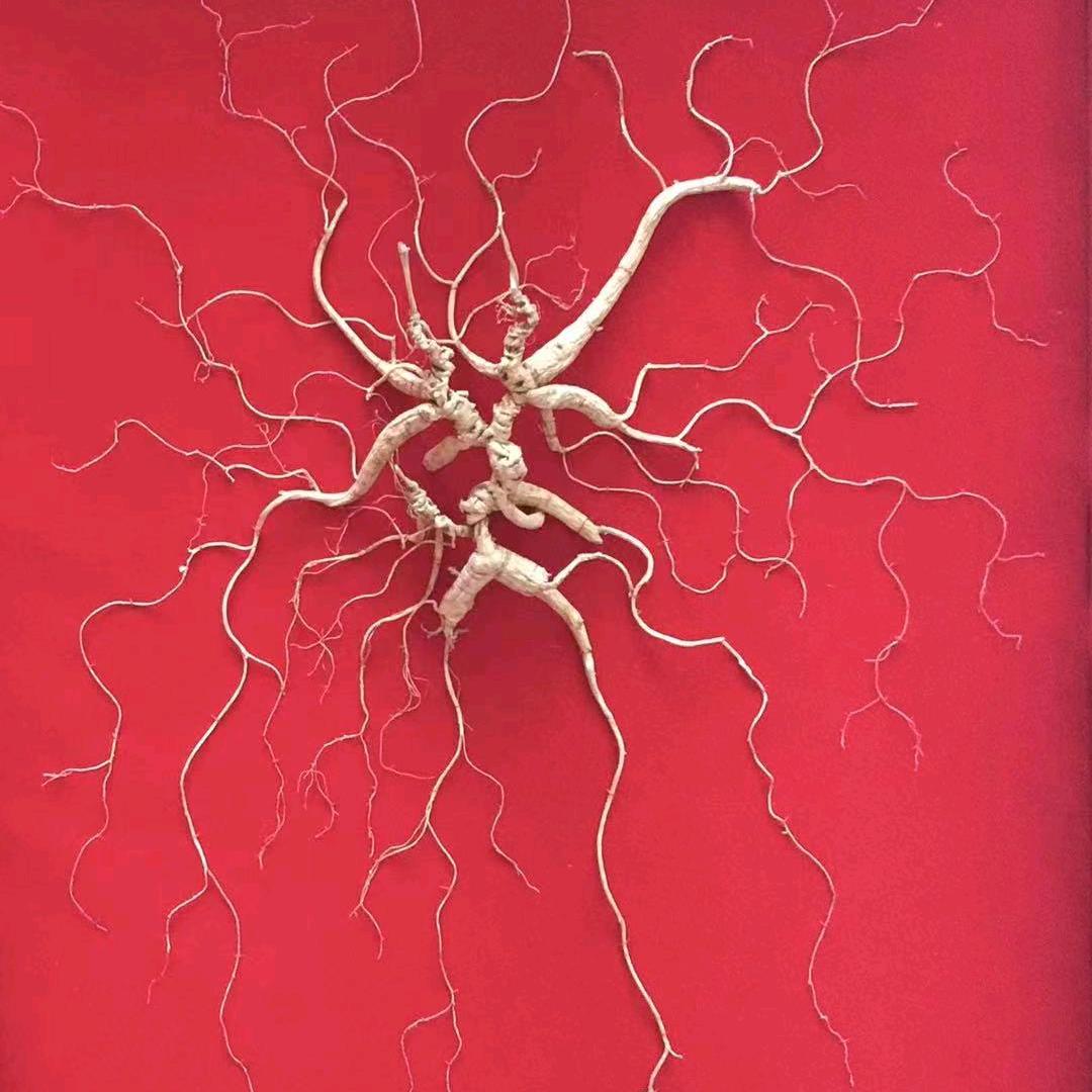 参客缘，参遇有缘人