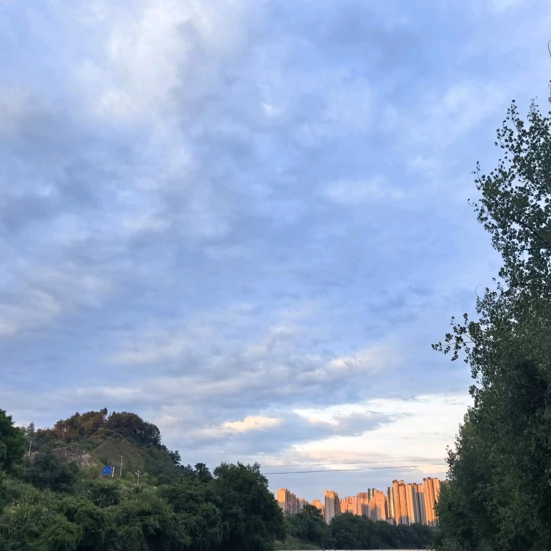 芙蓉荟·轻奢sap官方号