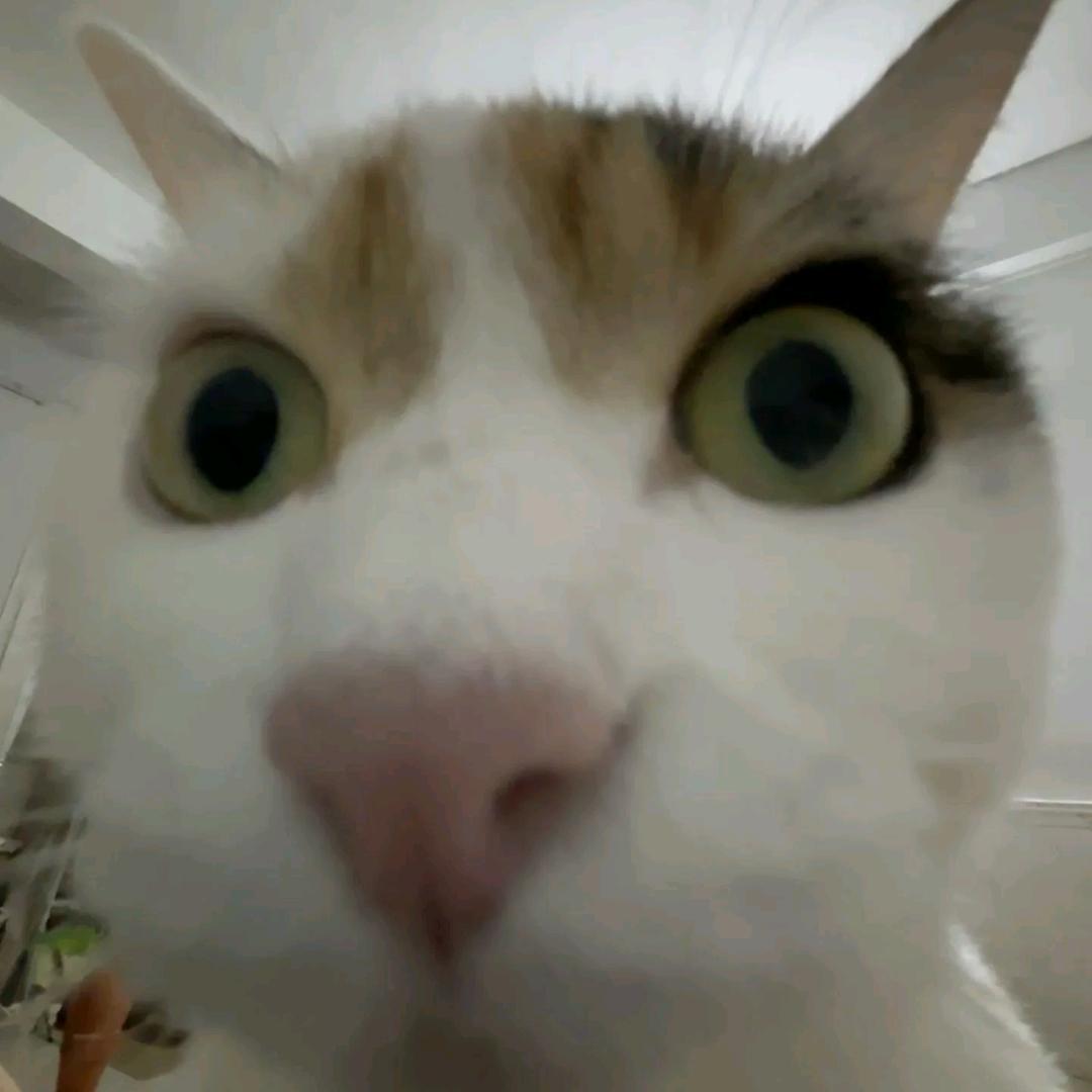 倘若那天