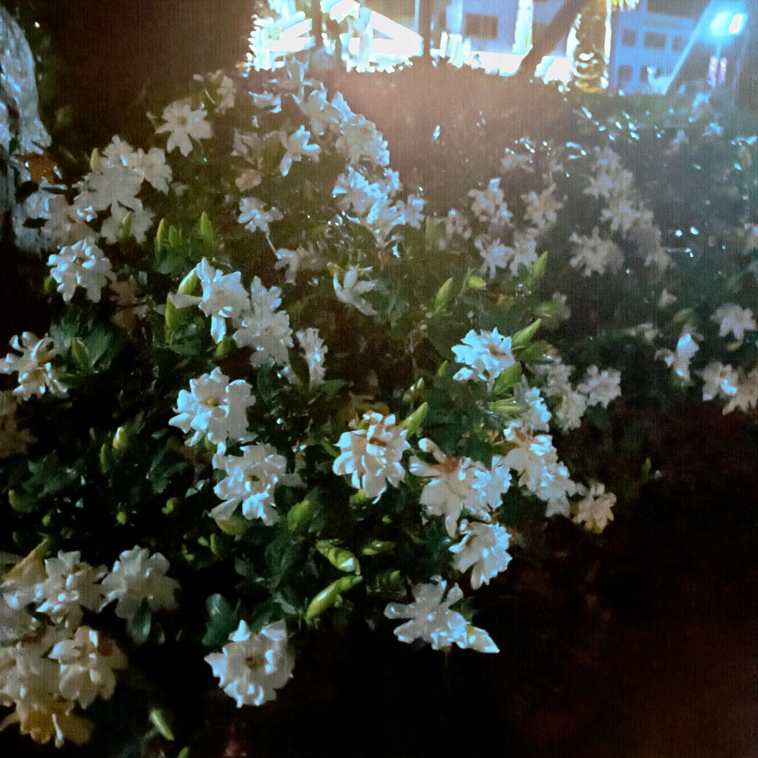 落日雲悠。