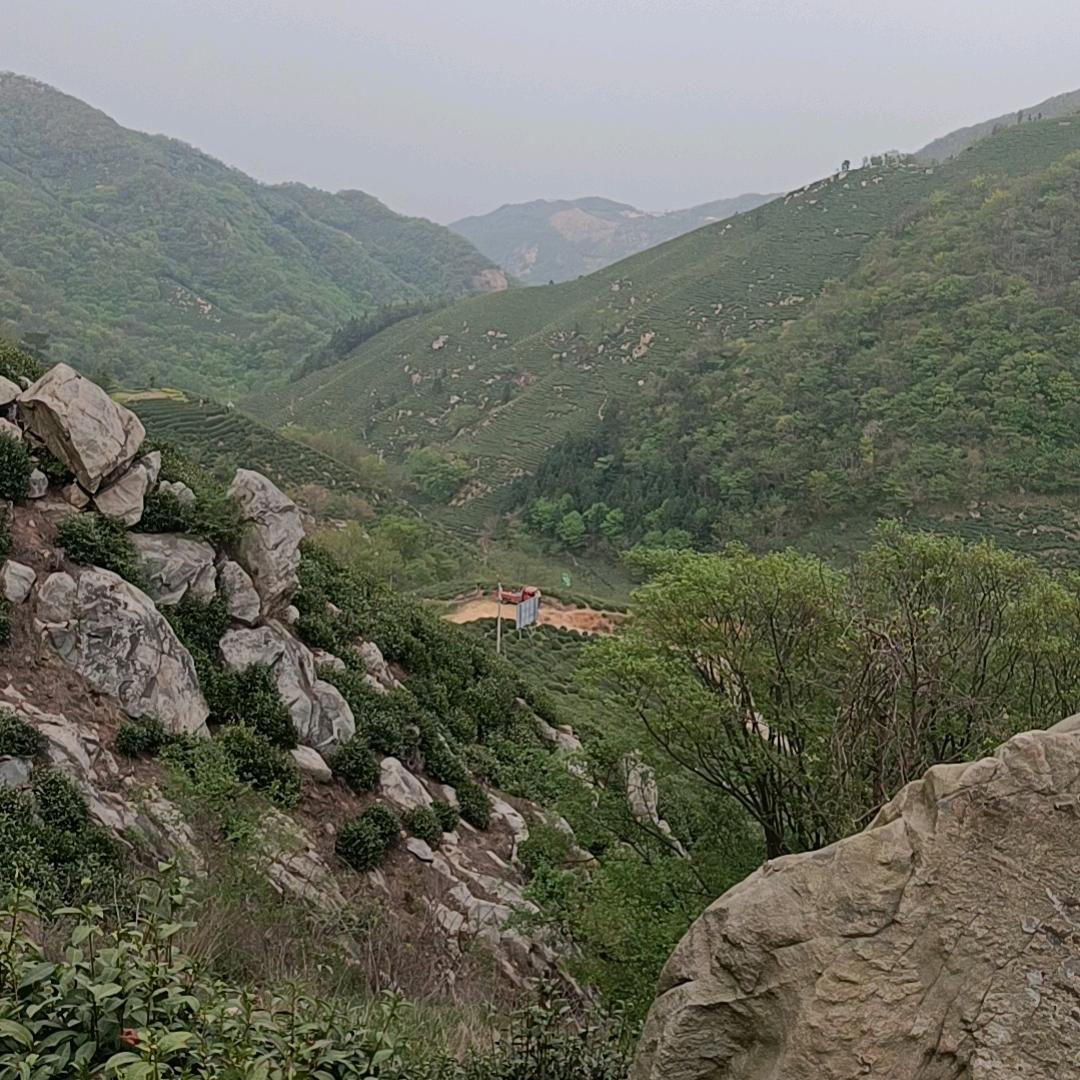 ༺执子💞之手༻