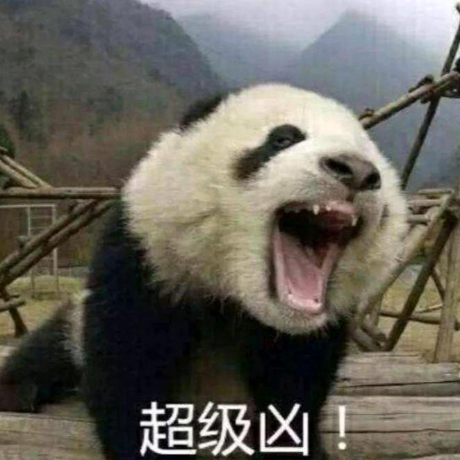 八豆