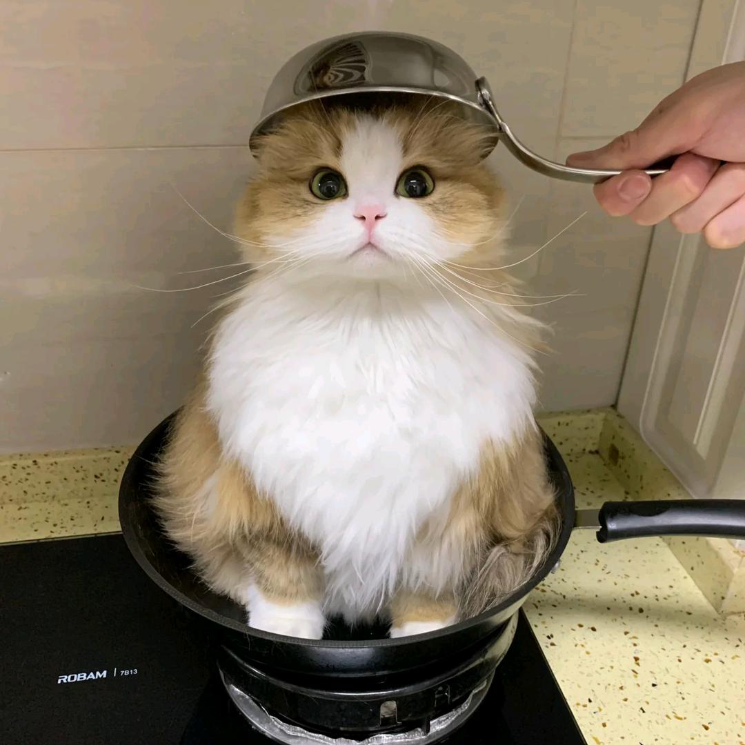 伍子胥头像