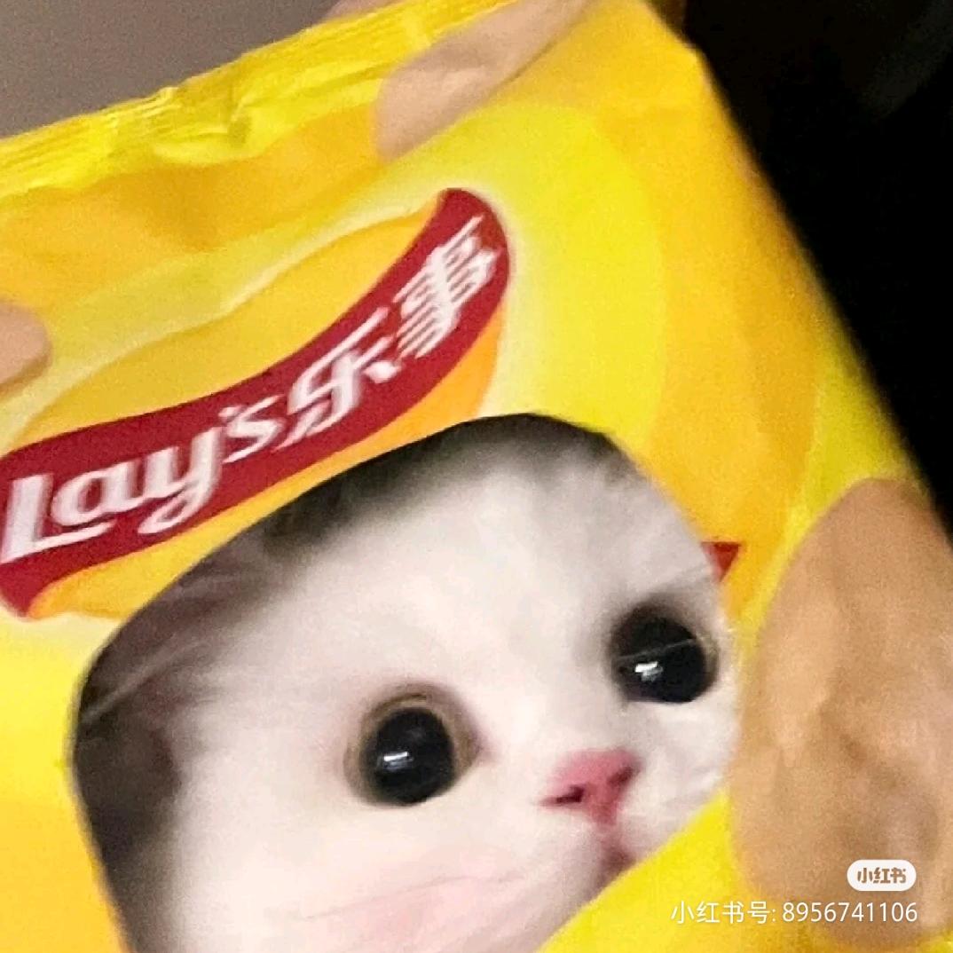 麦茶不甜